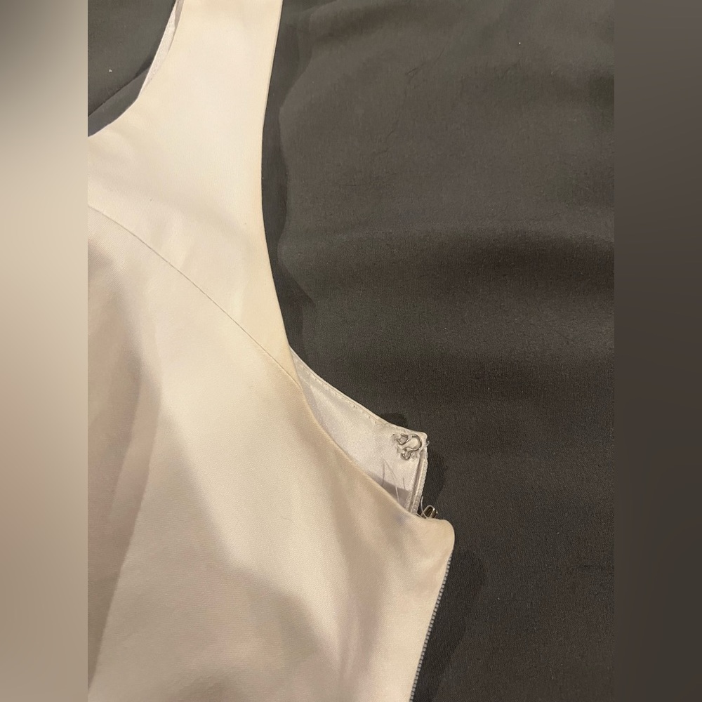 Express Dress - Picture 5 of 7